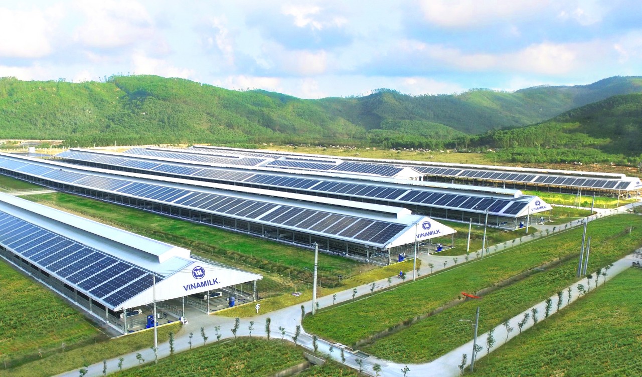 Phát triển bền vững -